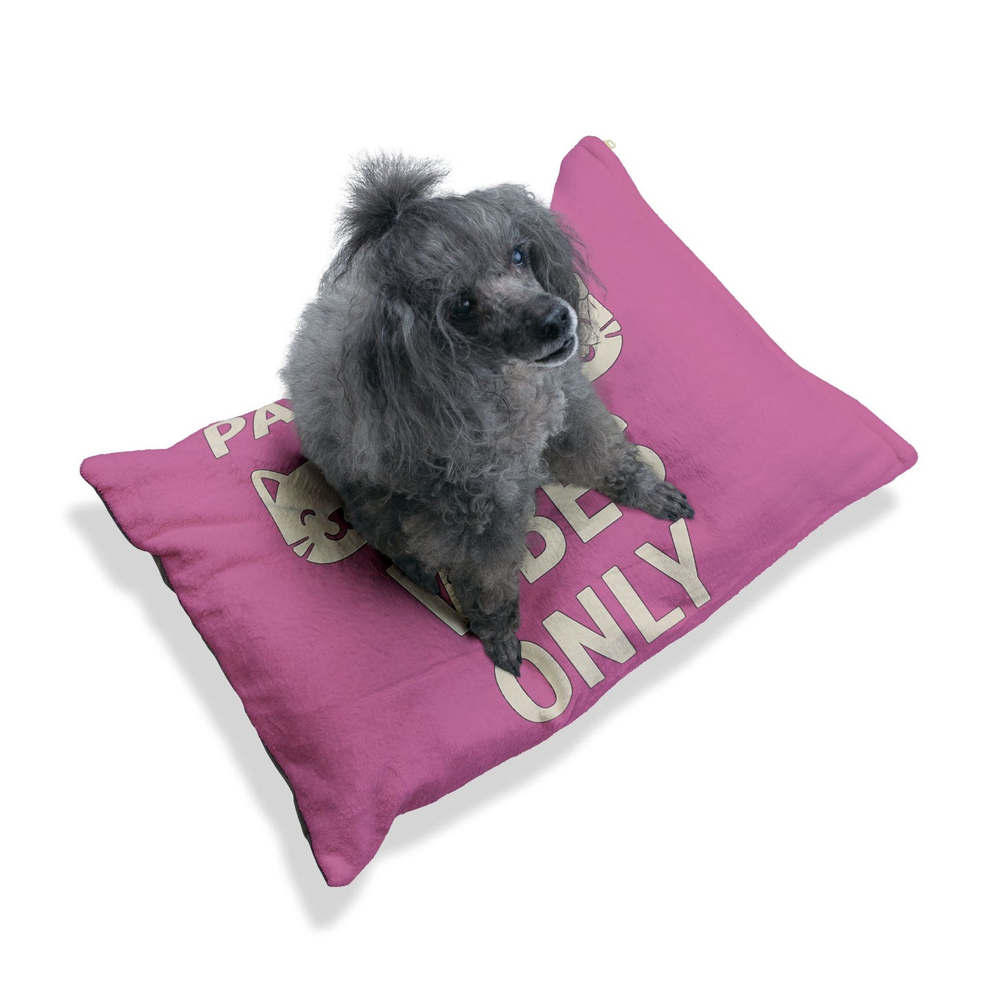 Pet Bed - Pawsitive Vibes Cozy Corner for Cats and Dogs