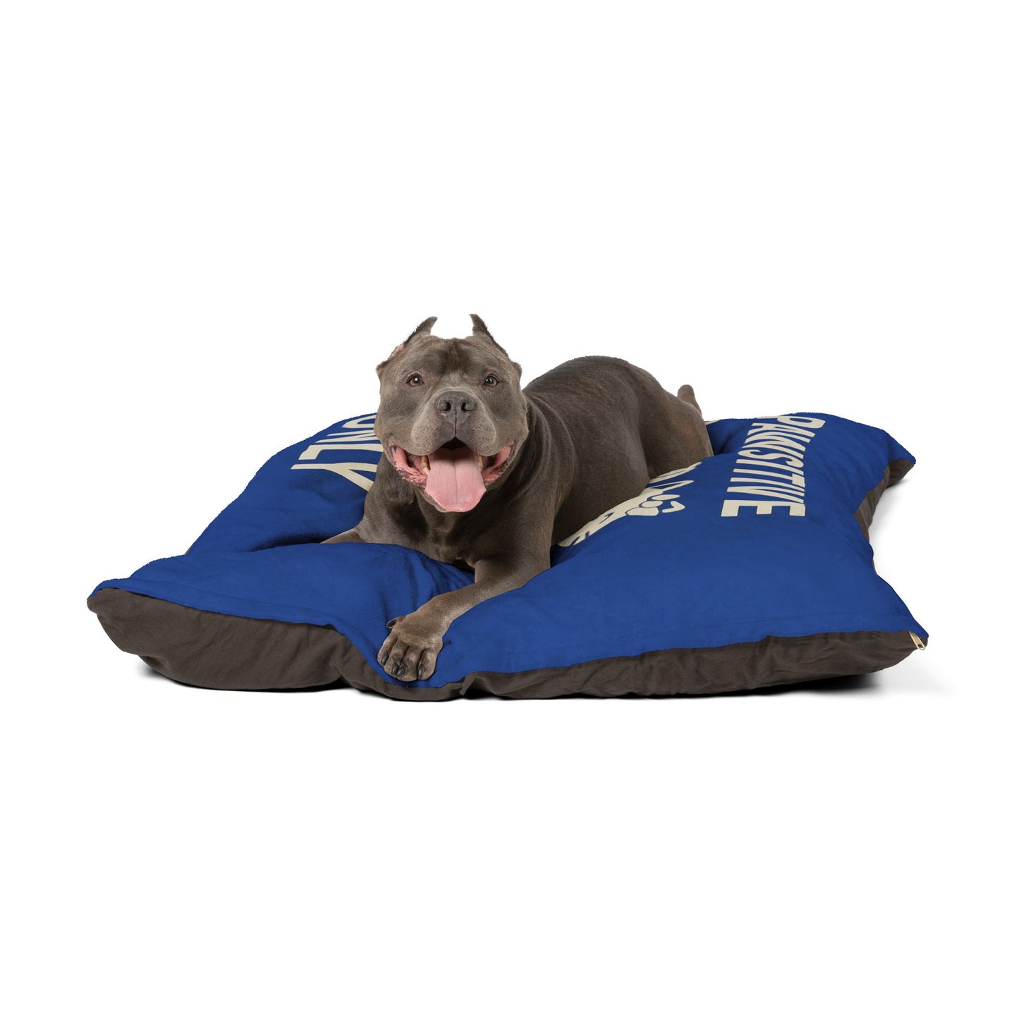 Pawsitive Vibes Pet Bed – Cozy Dog & Cat Retreat