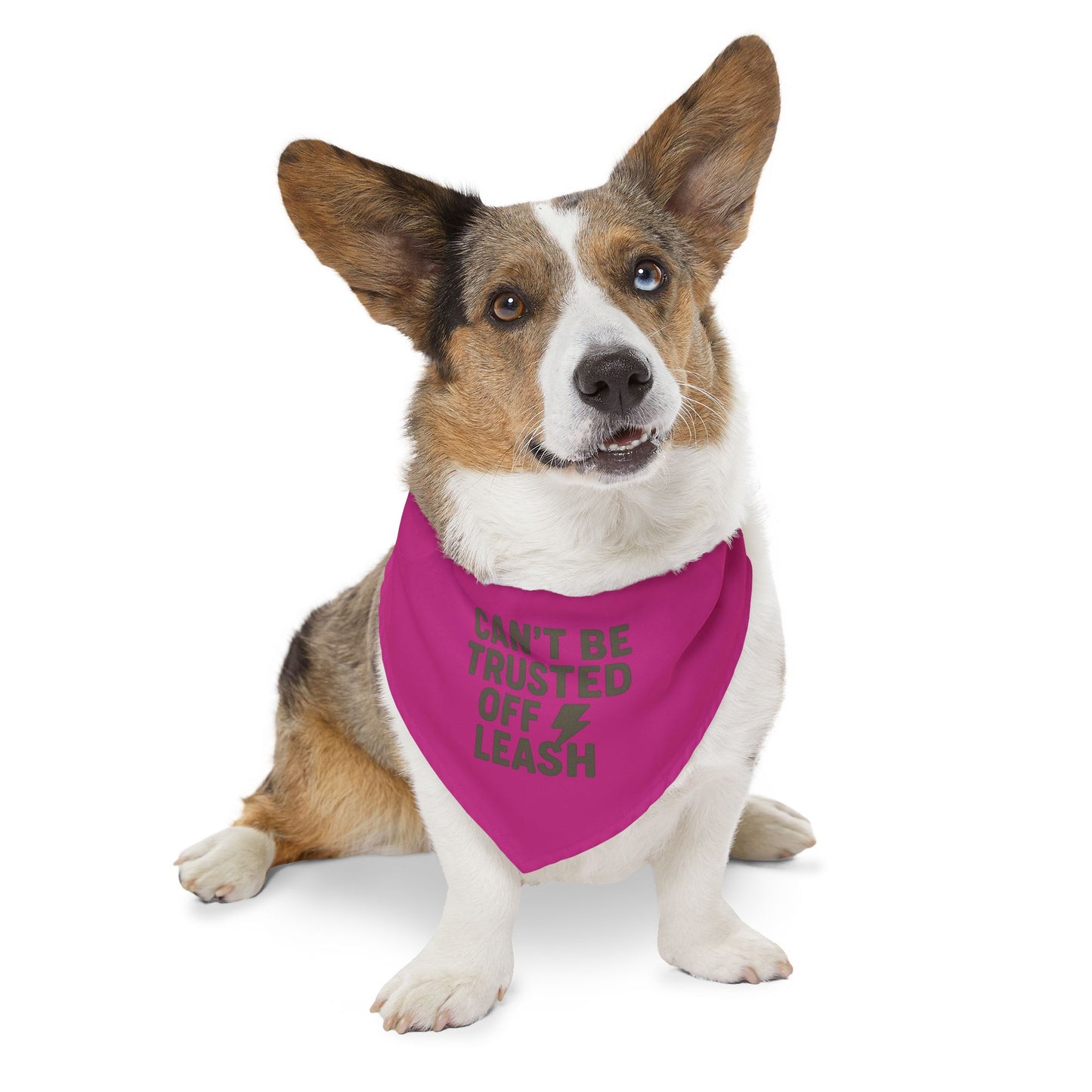 Stylish Pet Bandana Collar – “Can’t Be Trusted Off Leash”
