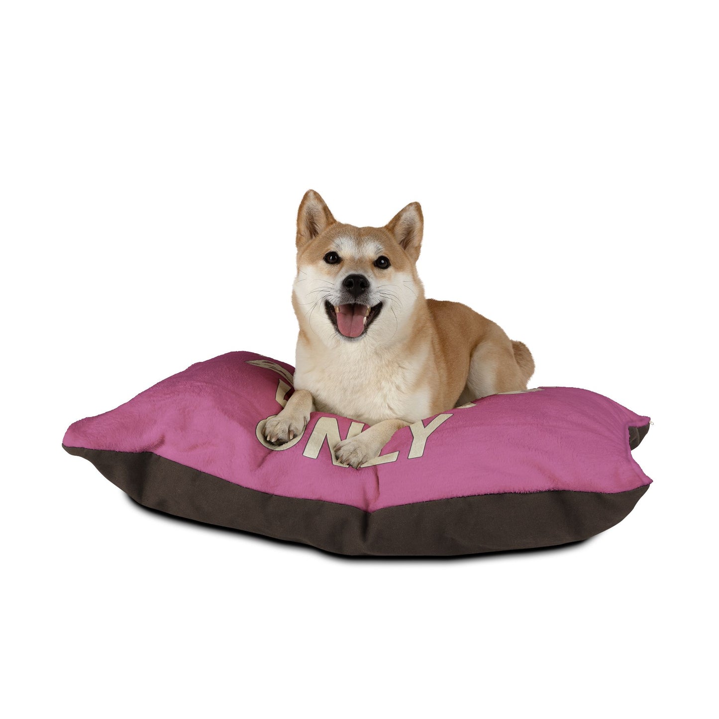 Pet Bed - Pawsitive Vibes Cozy Corner for Cats and Dogs