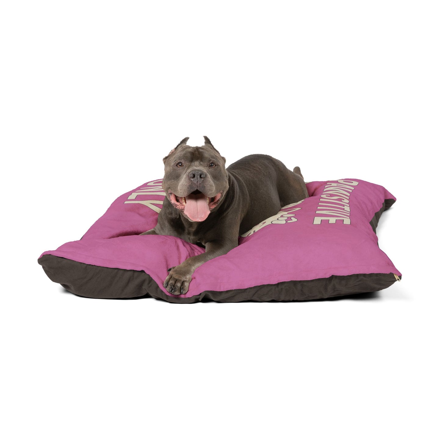 Pet Bed - Pawsitive Vibes Cozy Corner for Cats and Dogs
