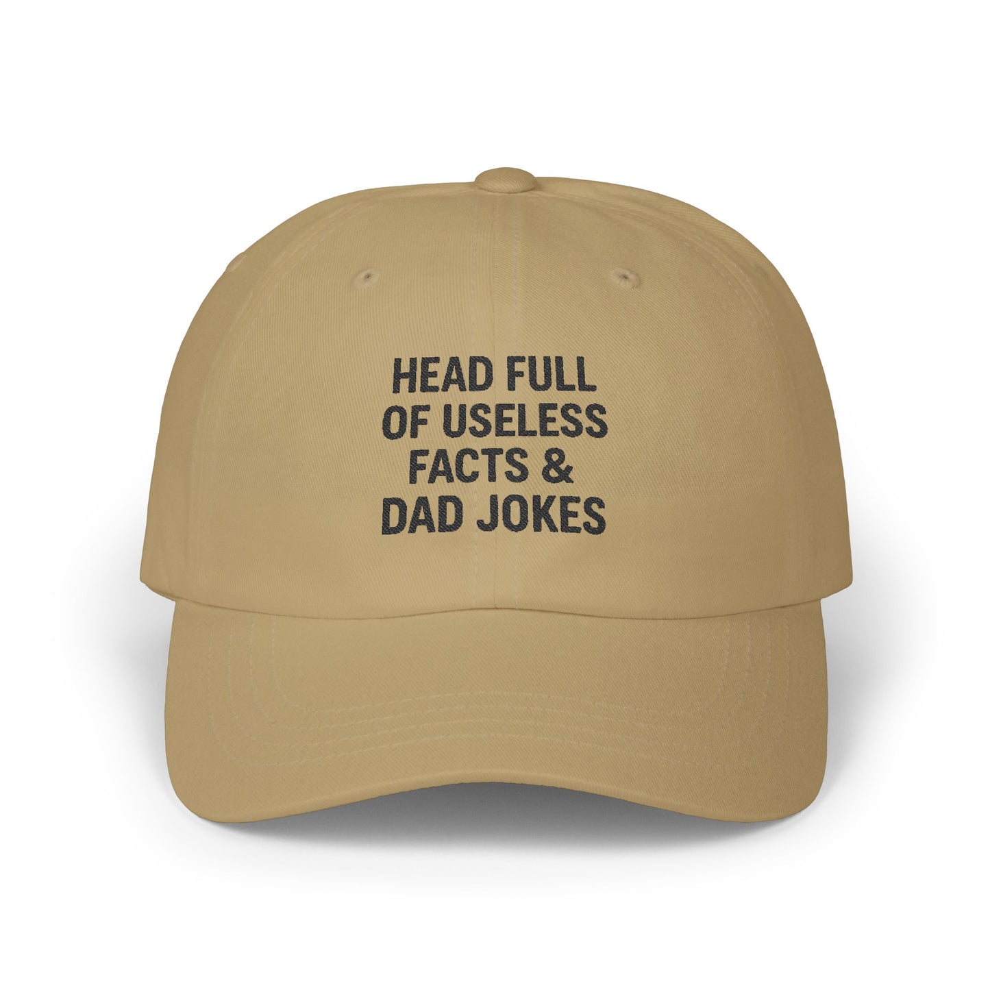 Head Full of Useless Facts – Embroidered Dad Cap