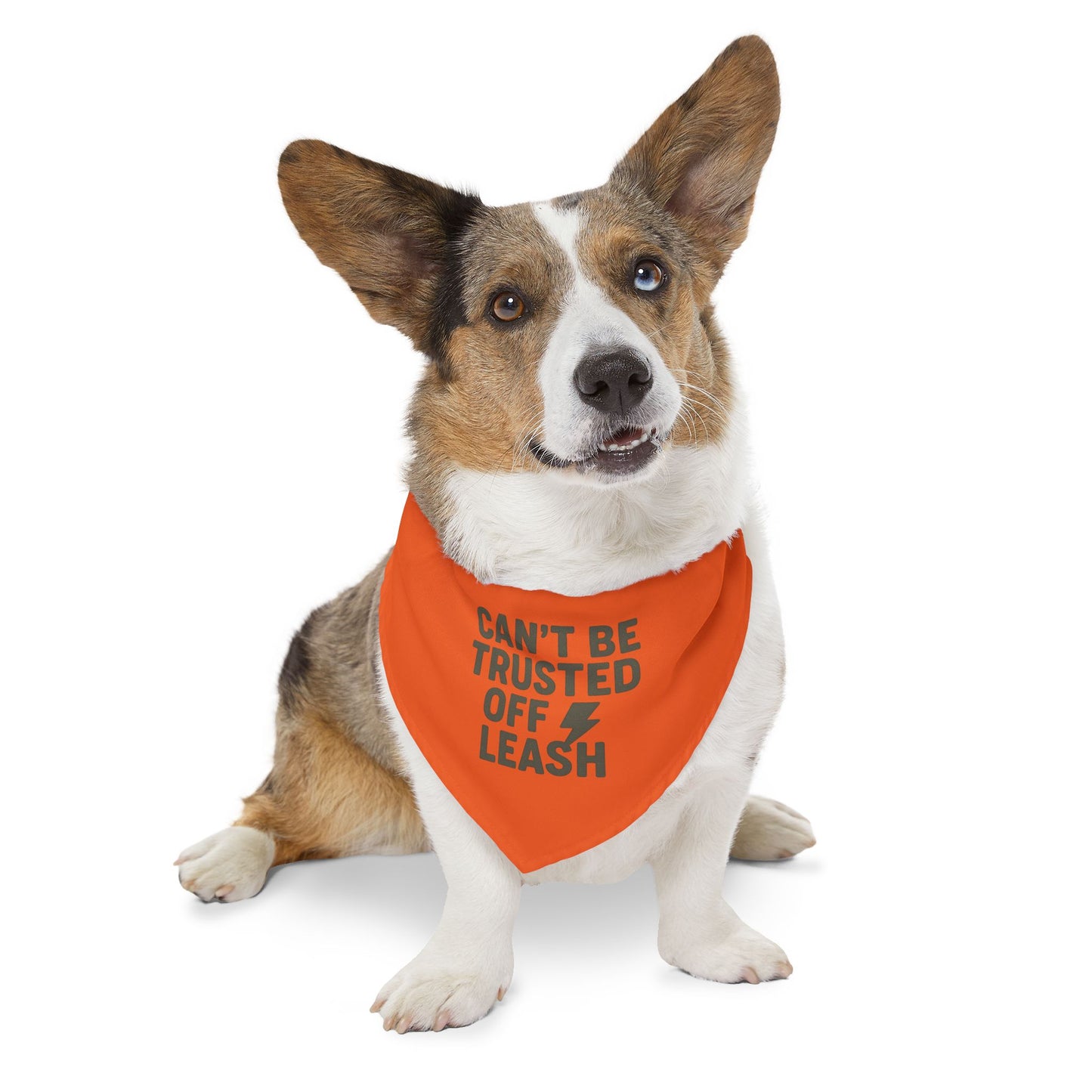 Stylish Pet Bandana Collar – “Can’t Be Trusted Off Leash”