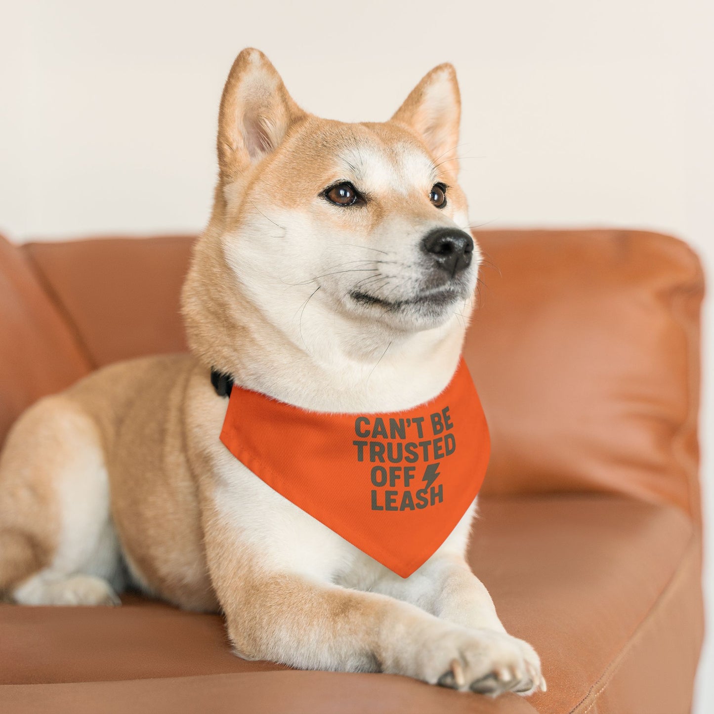 Stylish Pet Bandana Collar – “Can’t Be Trusted Off Leash”