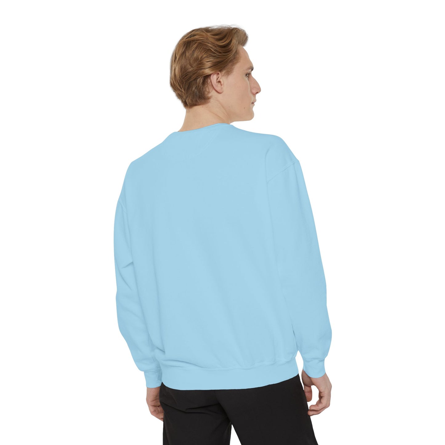 I ONLY CAME FOR THE CARBS & THE CHAOS Unisex Garment-Dyed Sweatshirt