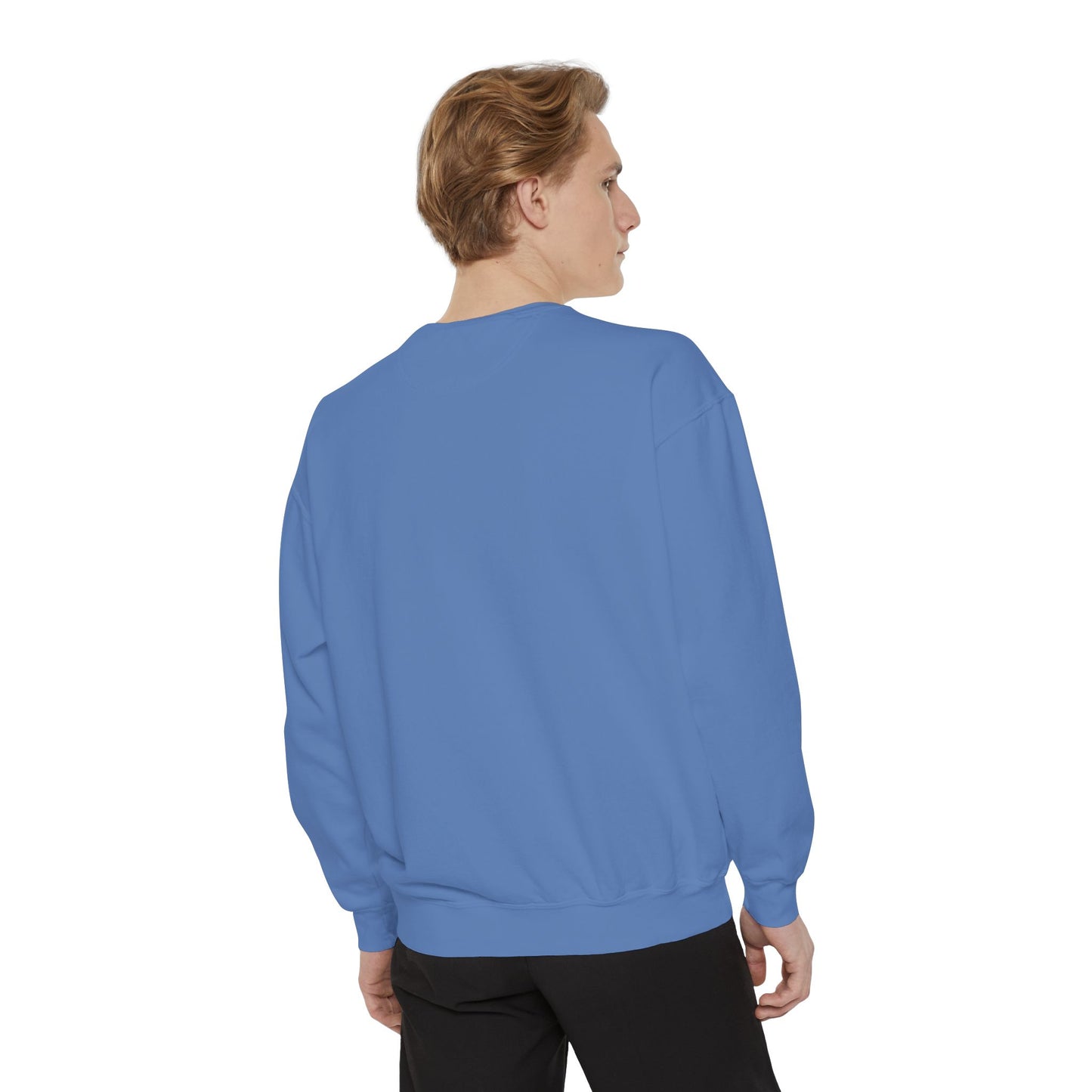 I ONLY CAME FOR THE CARBS & THE CHAOS Unisex Garment-Dyed Sweatshirt