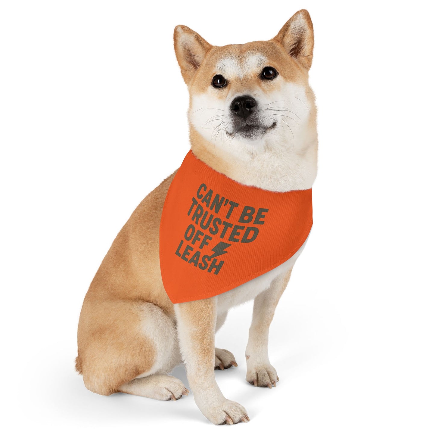 Stylish Pet Bandana Collar – “Can’t Be Trusted Off Leash”