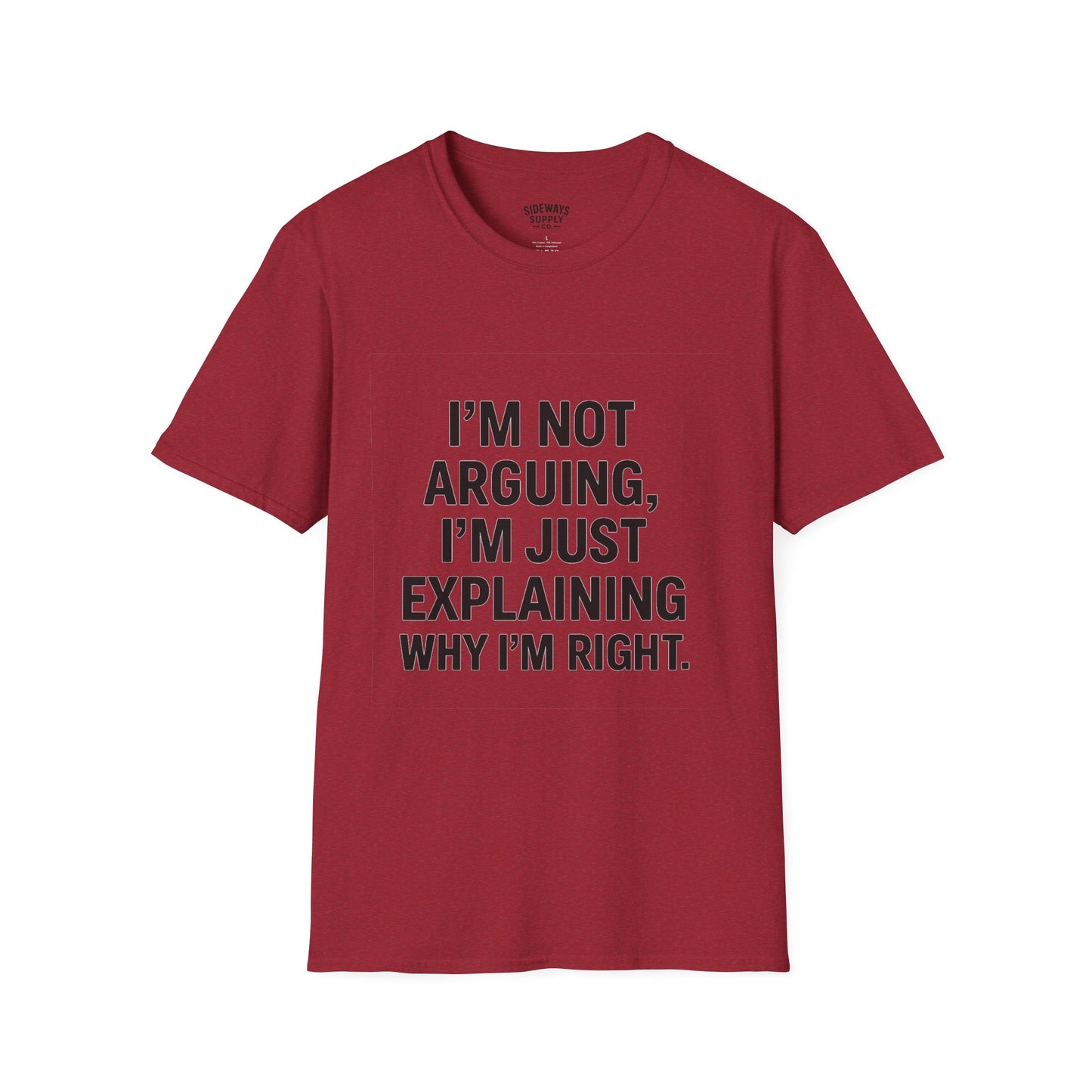 "I'm Not Arguing, I'm Just Explaining Why I'm Right" T-shirt