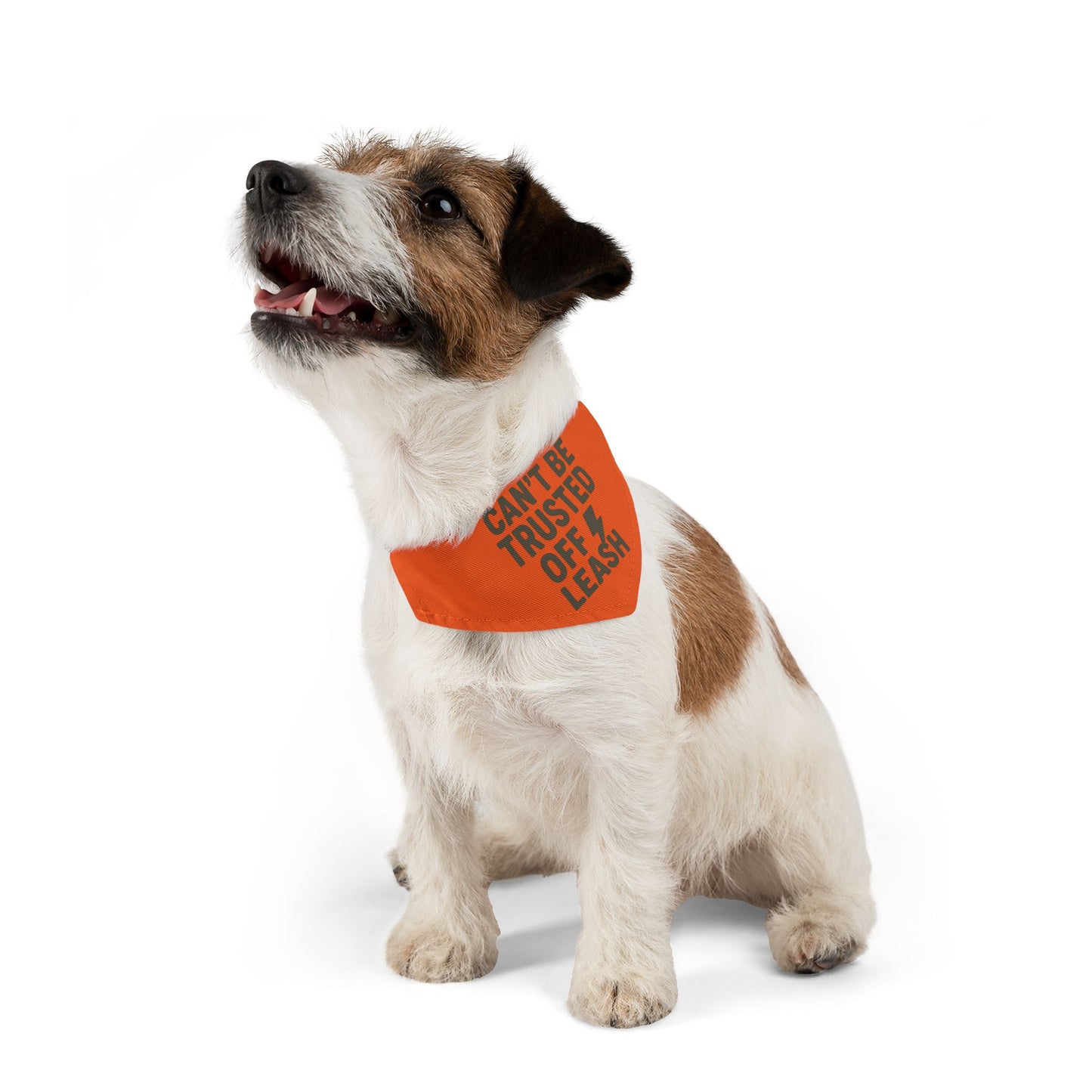 Stylish Pet Bandana Collar – “Can’t Be Trusted Off Leash”