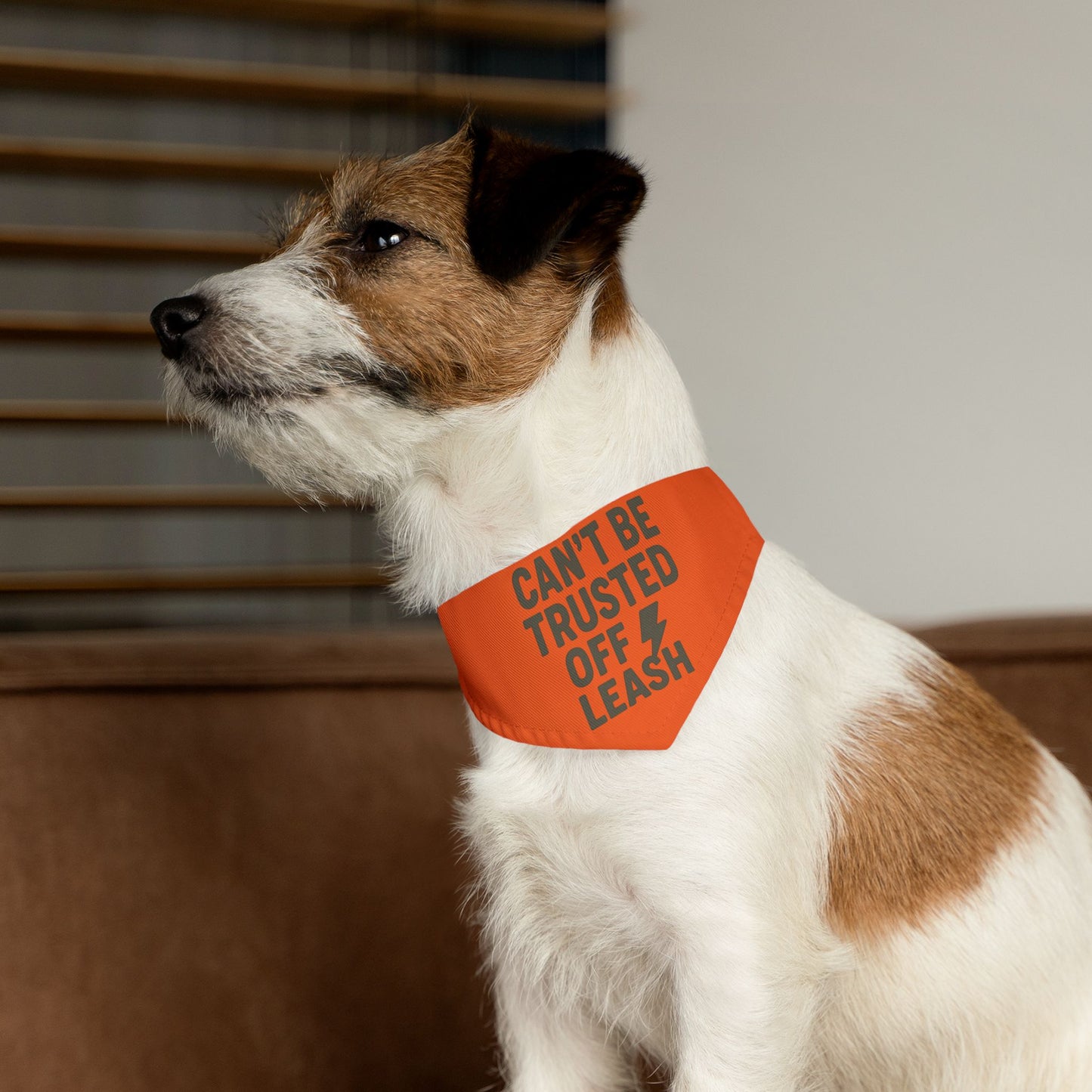 Stylish Pet Bandana Collar – “Can’t Be Trusted Off Leash”